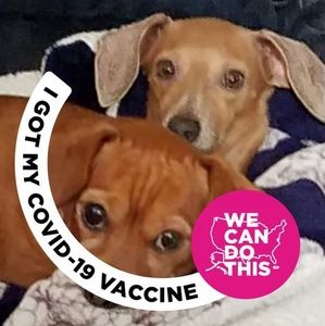 Meet your Posher, Sherry